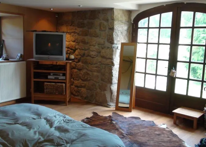 Вилла Demeure De 1850 Avec Piscine Chauffee Шамбон-сюр-Линьон